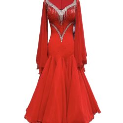 Photoroom_20240229_181453