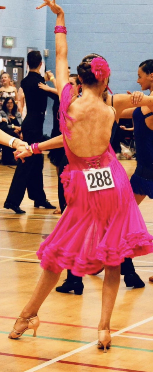 inbound8533921545311451902