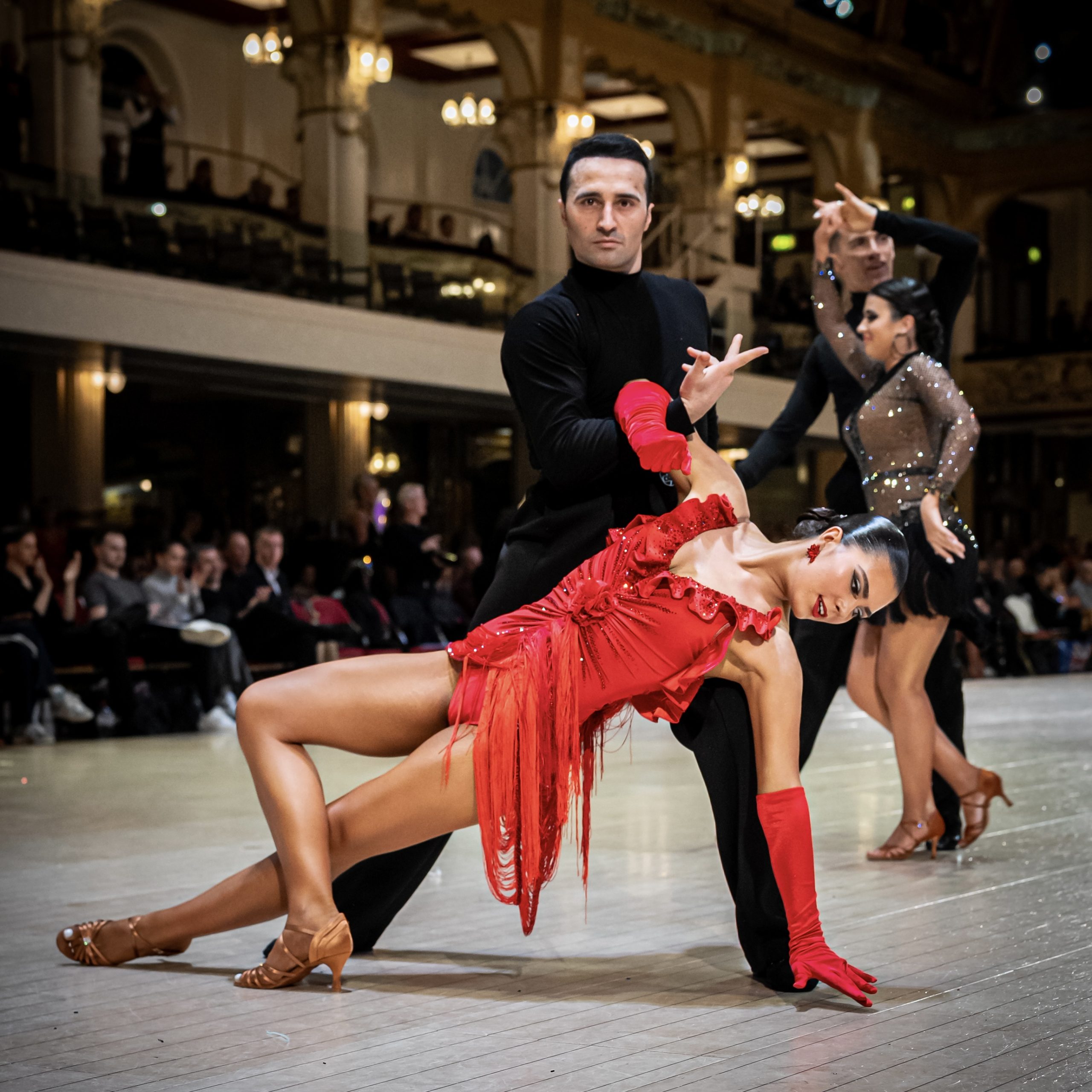 20241103_a7r5_gfpb24-2183