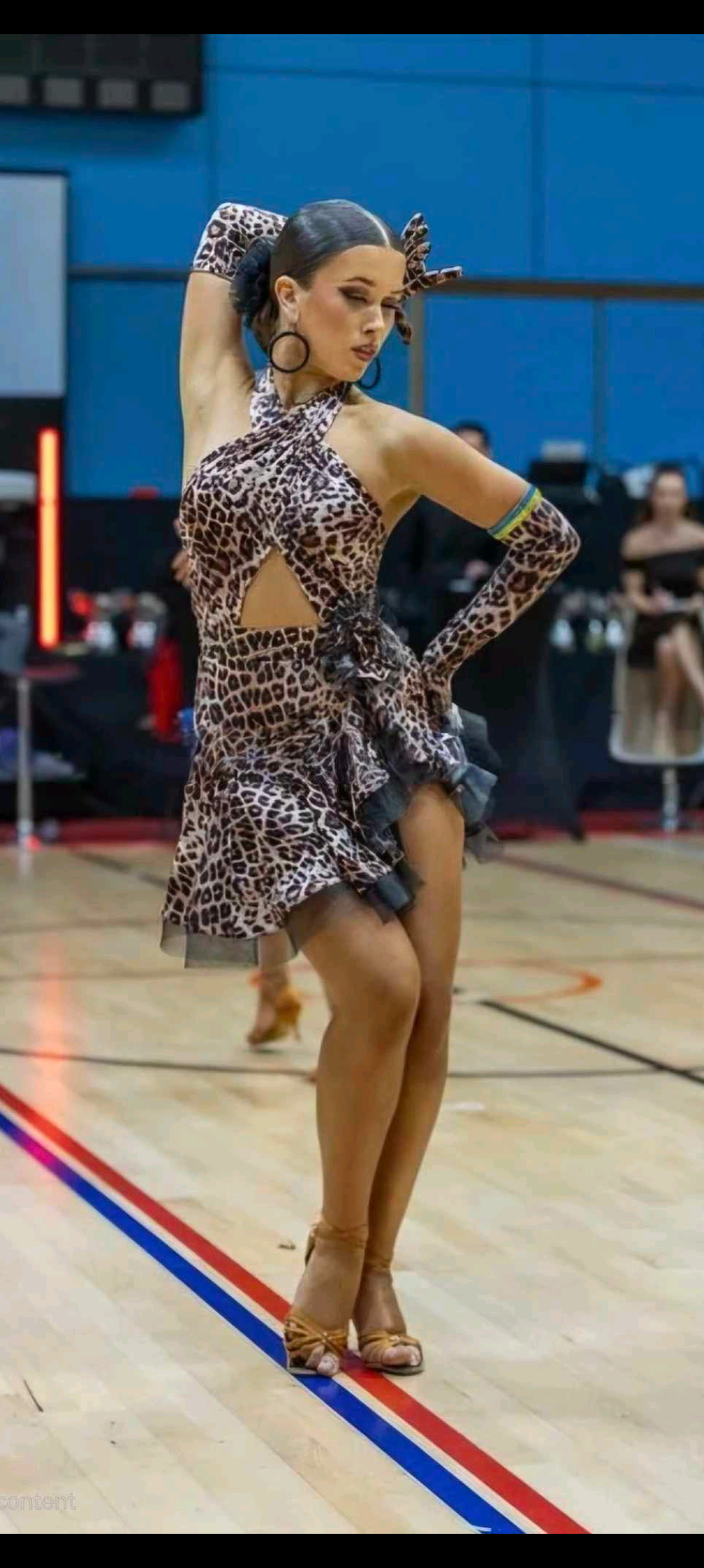 inbound6093580697005579407