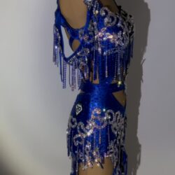 inbound4354727169580214861